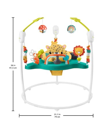 Fisher-Price Leaping Leopard Jumperoo Activity Baby Jumper