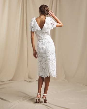 Joanna Hope Ivory 3D Lace Midi Dress