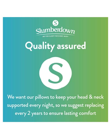 Slumberdown Complete Protection Pack of 2 Pillows