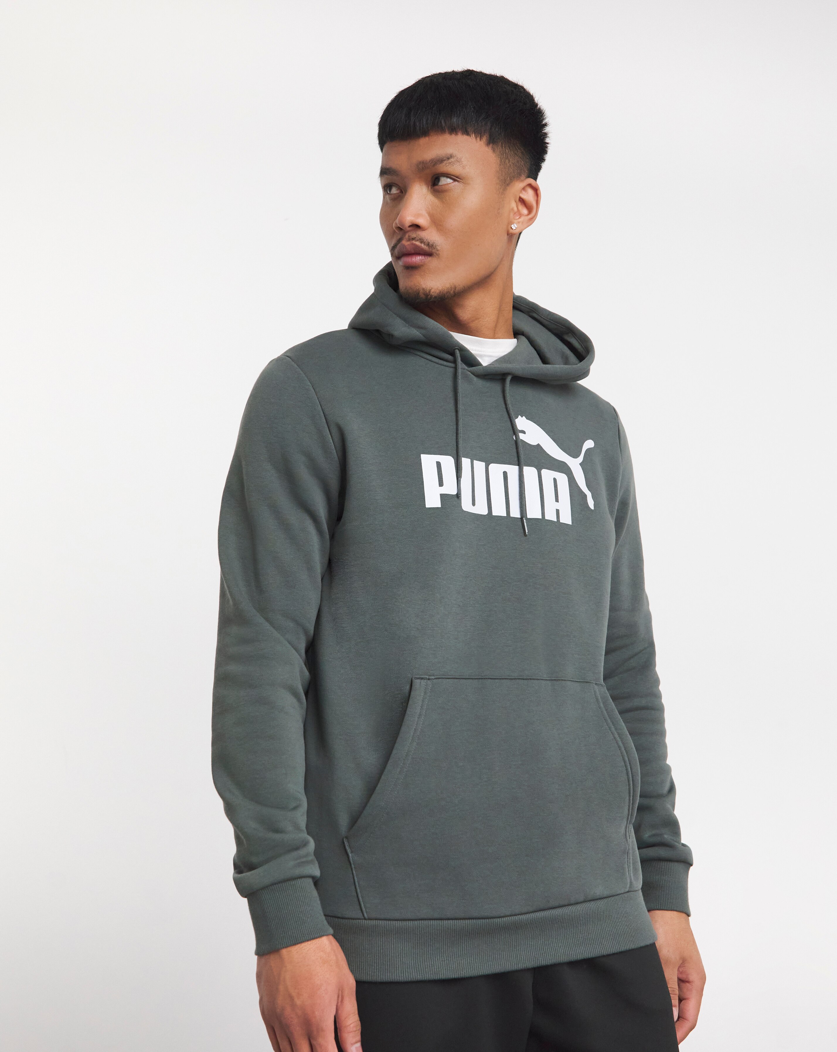 PUMA Essentials Big Logo Hoodie JD Williams