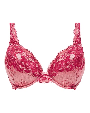 Contemporary Lace Full Cup Bra