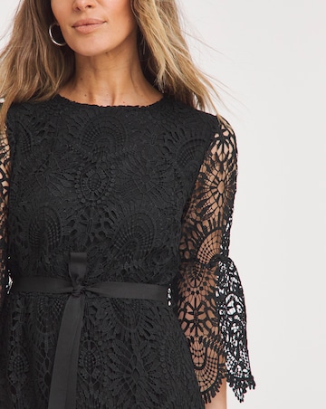 Joanna Hope Structured Lace Dress